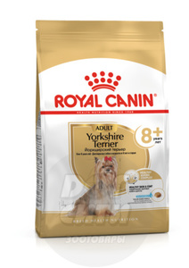 Royal Canin Yorkshire Terrier  Adult 8+, Роял Канин Йоркшир Терьер Эйджинг 8+