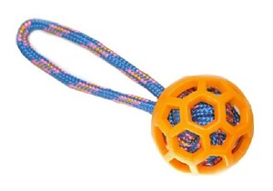 Игрушка Мяч на веревке TAICHIPET