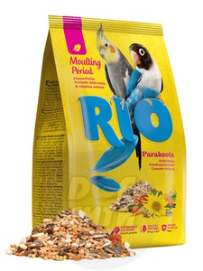 Рио для средних попугаев в период линьки