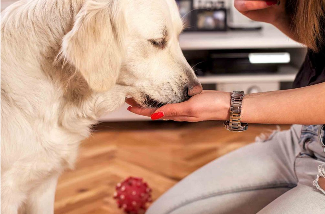 витамины екб