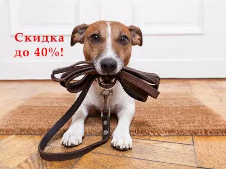 Амуниция -57%