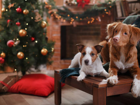 График работы в новогодние праздники 2026г