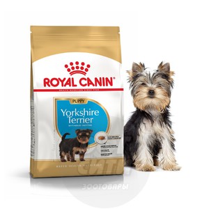 Royal Canin Yorkshire Terrier 29 Puppy