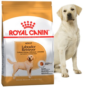 Royal Canin Labrador Retriever Adult, Роял Канин