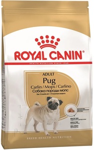 Royal Canin Pug, Роял Канин