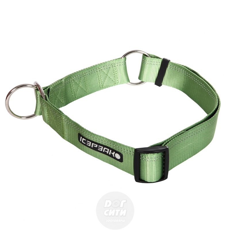Ошейник полуудавка  Icepeak pet winner slip collar, Айспик пет