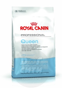 Royal Canin Queen, Роял Канин