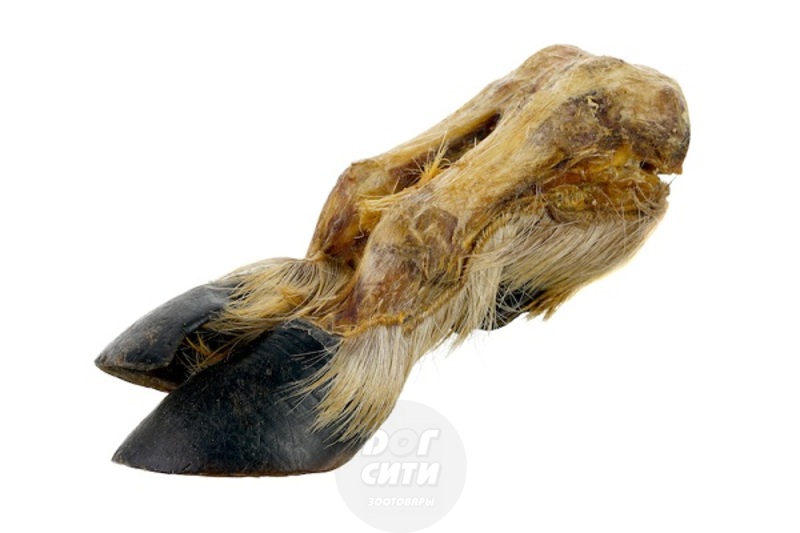 Копыто северного оленя Натура Аури