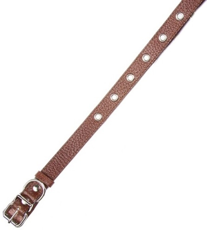 Ошейник Dogger кожаный щенячий цветной, Доггер