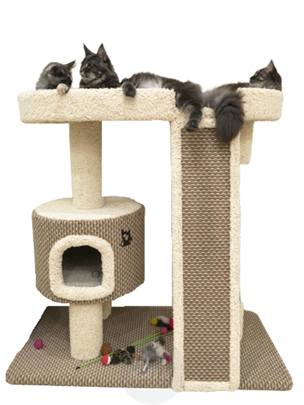 Дом для кошки КУН-1