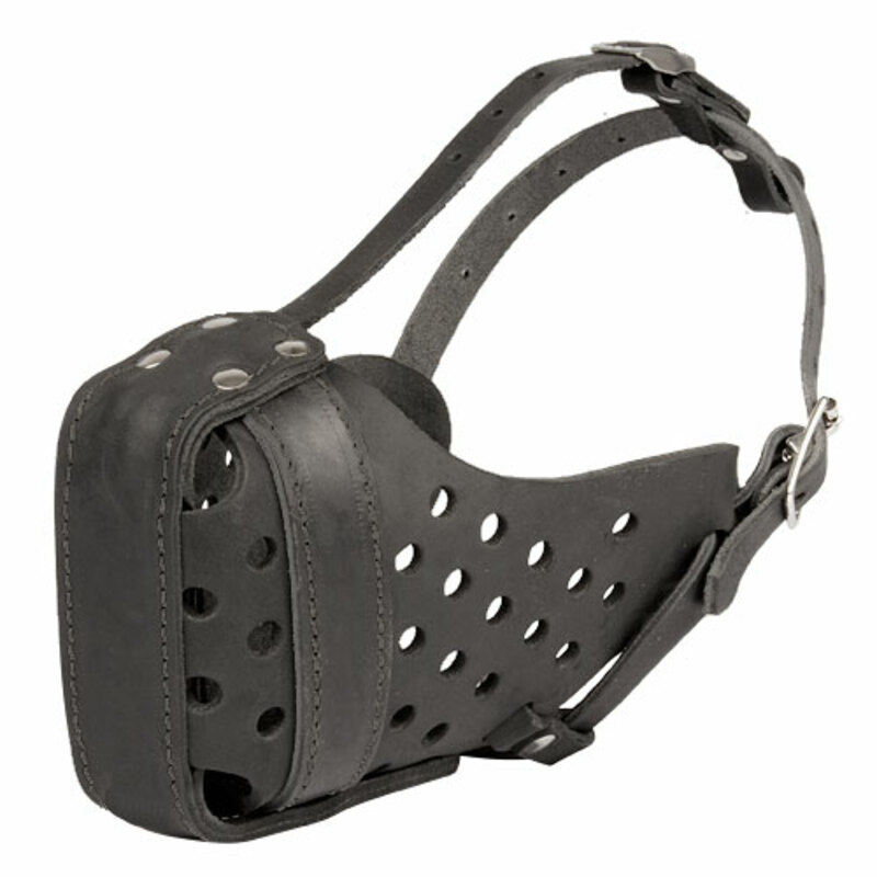 Ударный кожаный намордник ForDogTrainers М55 Attack training, ФоДогТрейнерс