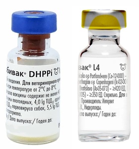 Нобивак DHPPI + L4, Nobivac