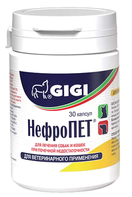 НефроПет Gigi, Джи Джи