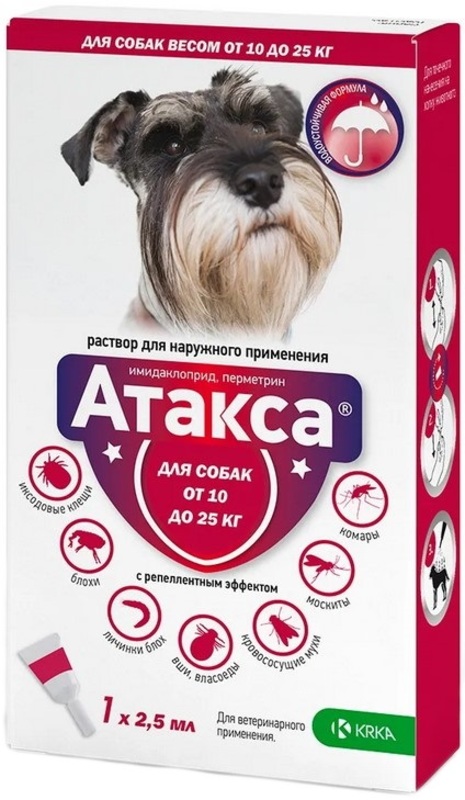 Атакса