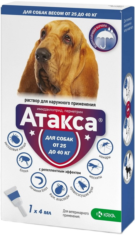 Атакса