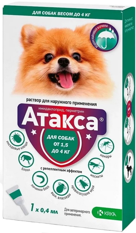 Атакса