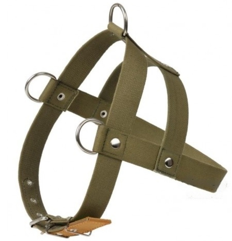 Шлейка Лаурон брезентовая универсальная 35мм, 50-65 см