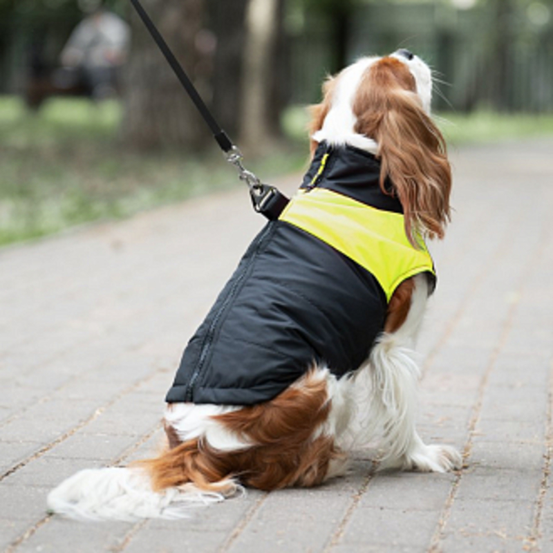 Triol Жилет Неон жёлтый, Триол