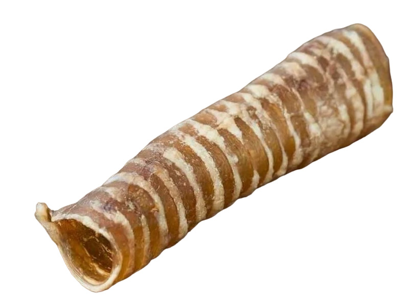 Трахея трубки Хрустик