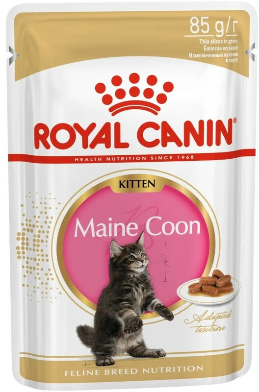 Royal Canin Пауч Мейн кун киттен соус, Роял Канин