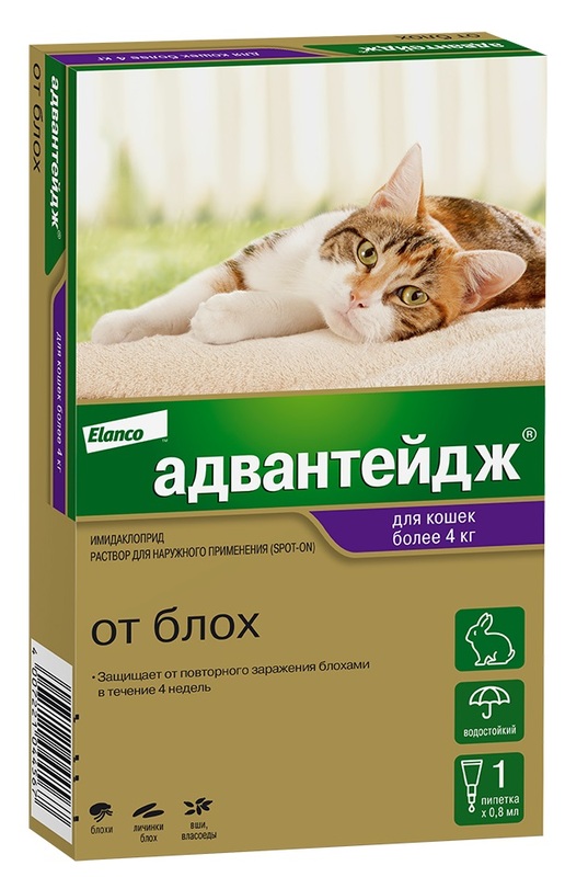 Адвантейдж капли для кошек