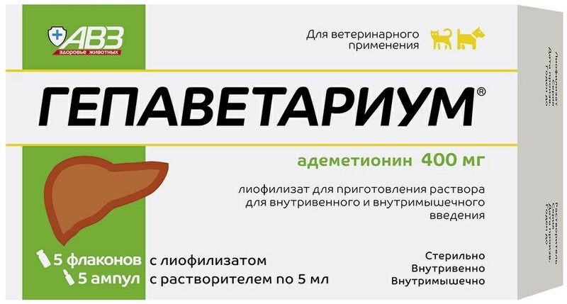 Гепаветариум