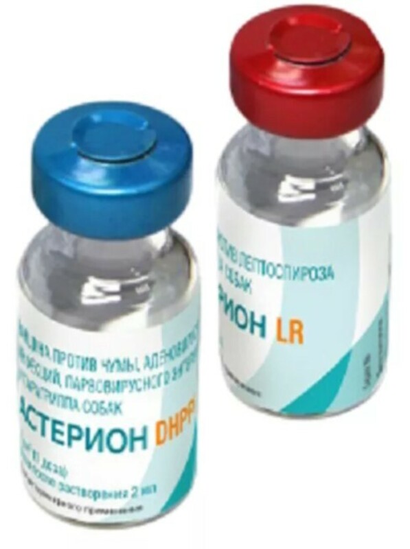 Астерион DHPPiLR