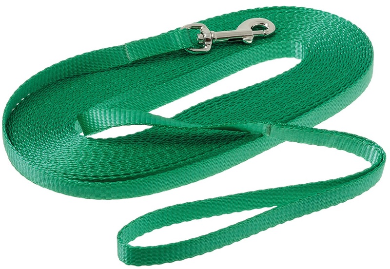 Поводок с карабином лента 10 мм