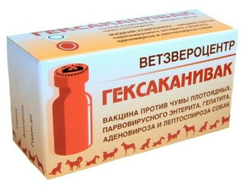 Гексаканивак