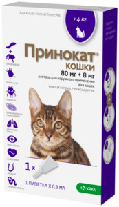 Принокат для кошек