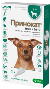 Принокат для собак