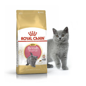 Royal Canin Kitten British Shorthair, Роял Канин