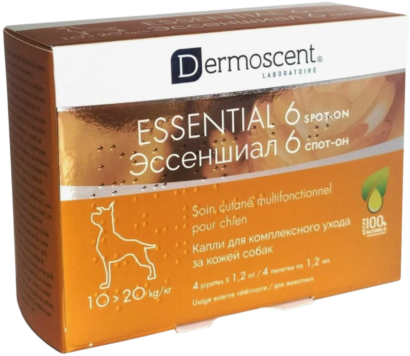 Essential 6 Dog, Эссеншиал
