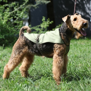 Охлаждающая попона для собак Osso Fashion (25-50 см) (l спины=25 см)