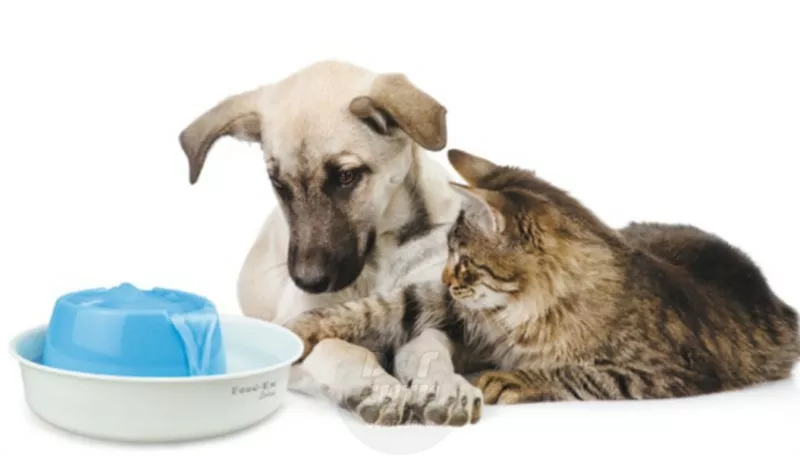 Автоматическая поилка фонтан Lotus