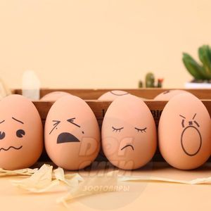 Игрушка ТБ Яйцо