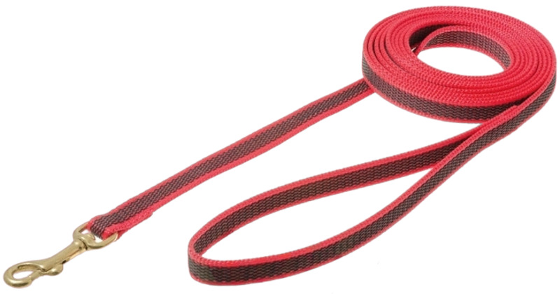 Поводок VIPet профессиональный нейлоновый с латексной нитью двухсторонний, с бронзовым карабином 2 м, ВИПет