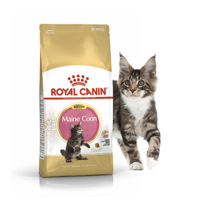Royal Canin Kitten Maine Coon, Роял Канин