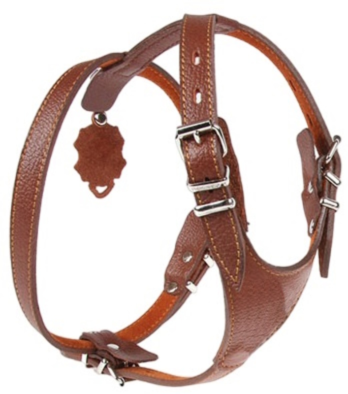 Доггер Шлейка 15, Dogger